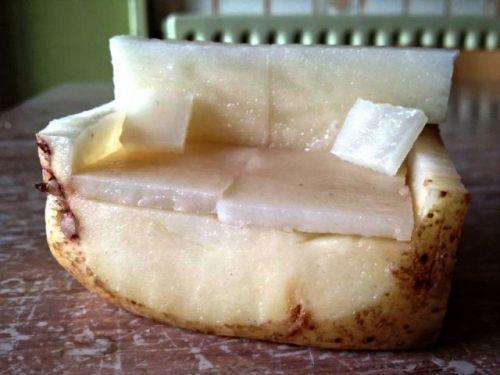 Soffpotatis