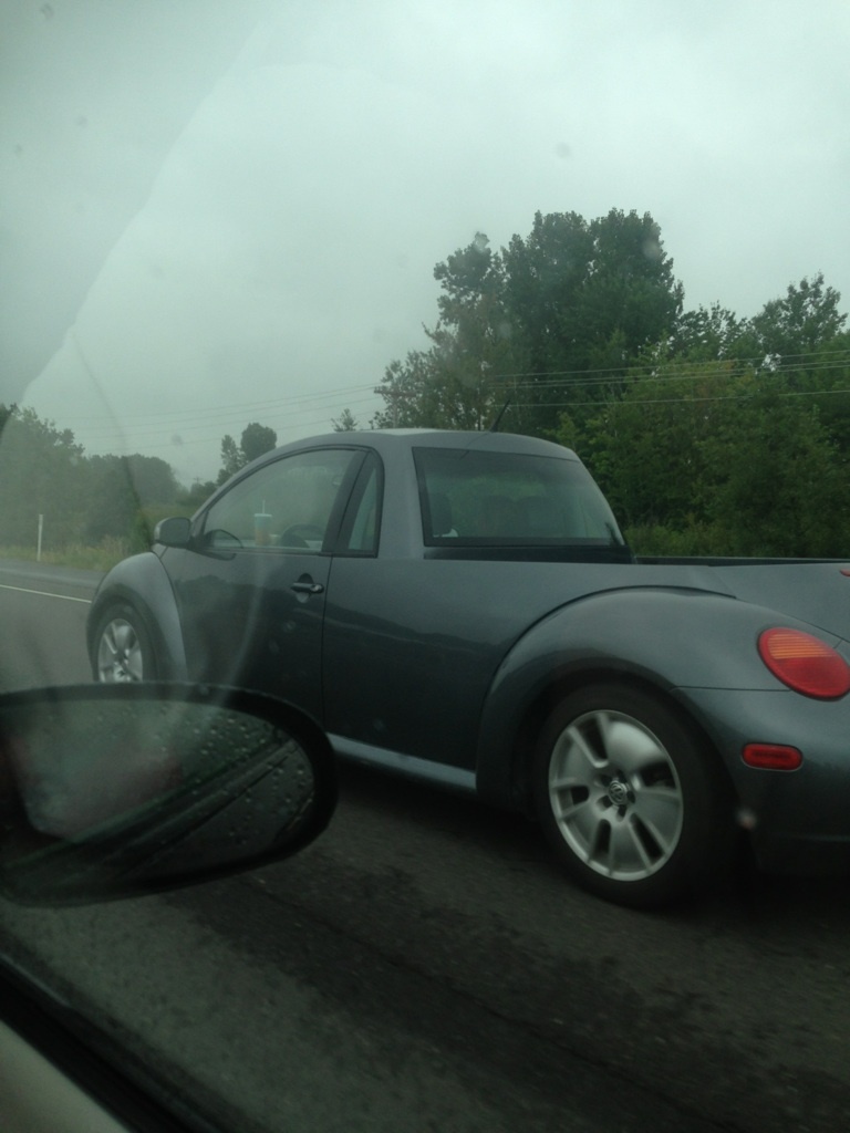 Bug pickup