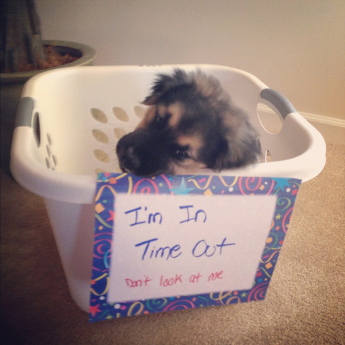 Timeout