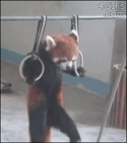 Do you even lift