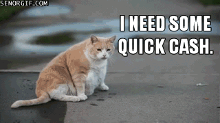 Katten behöver pengar