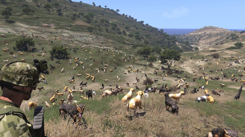 Din tur CoD ( Arma 3)
