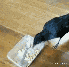 Sharing is caring