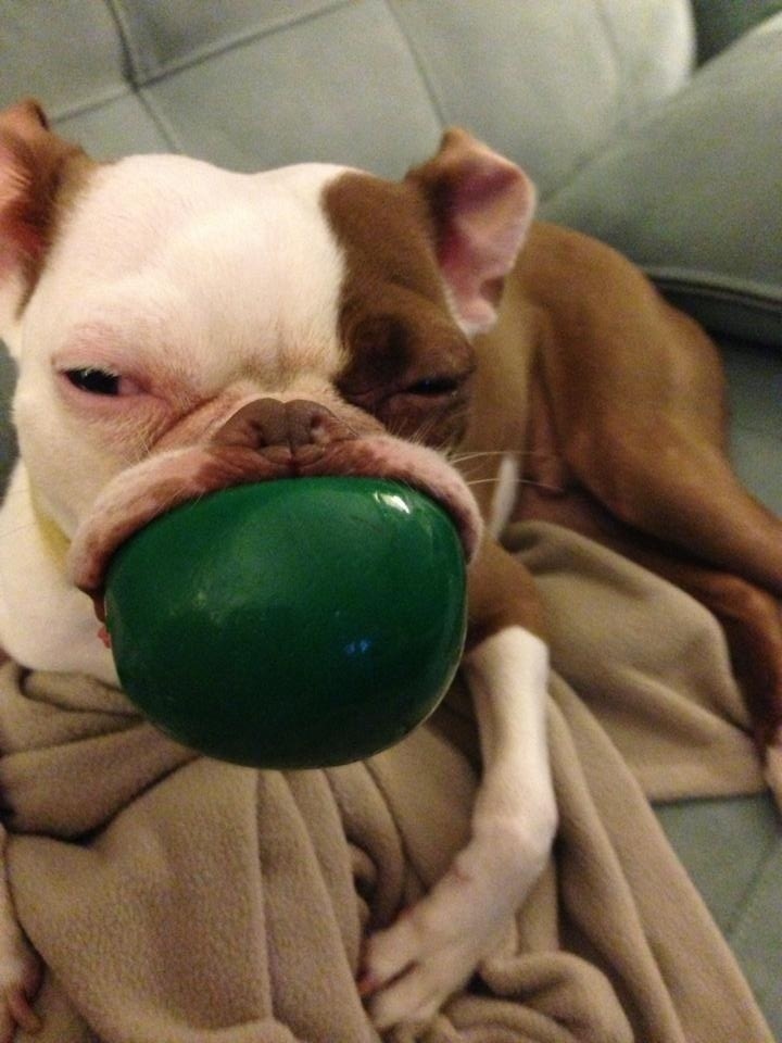 Min boll