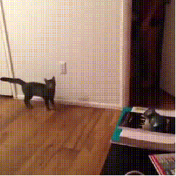 Boo