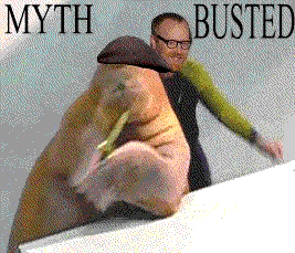 Do the walrus