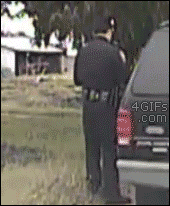 Katt attackerar polis