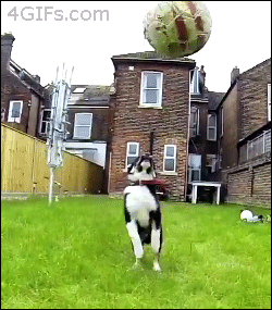 Catchfail