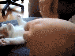 Purr motor