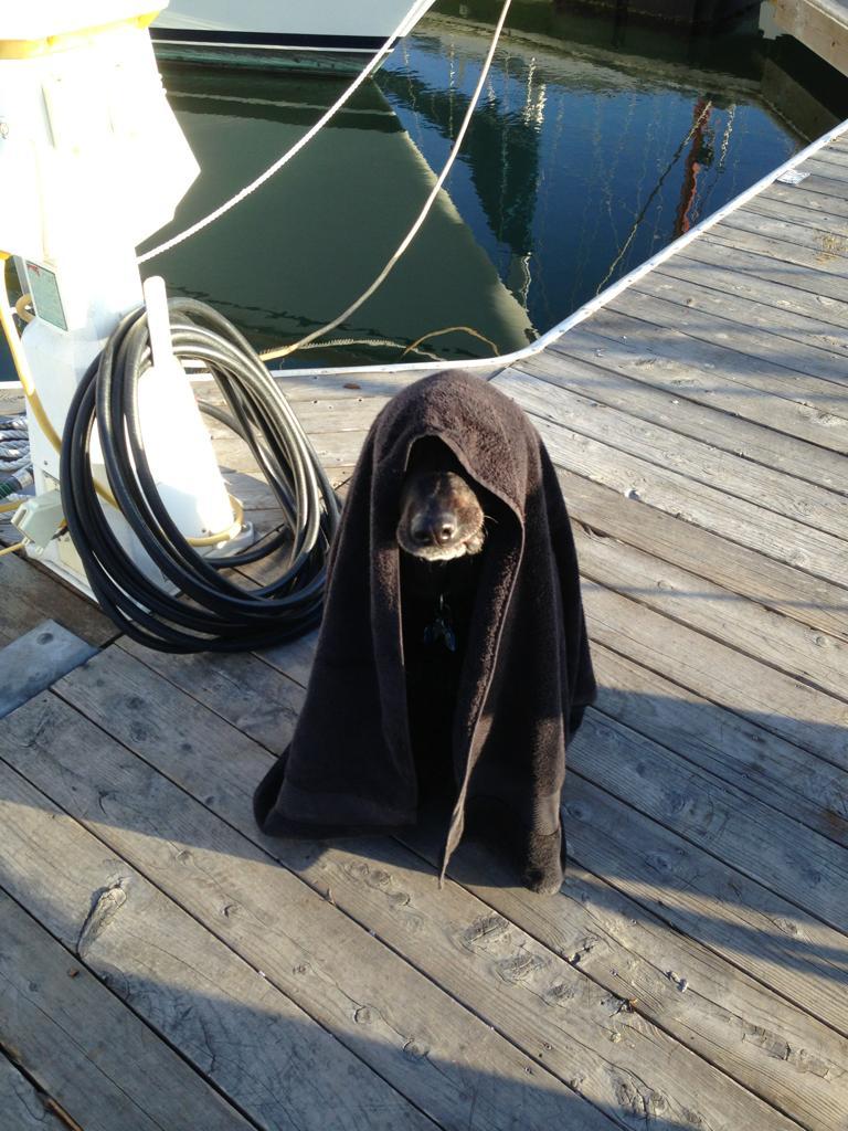Join the dock side