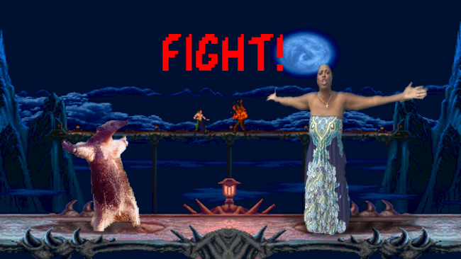 Round 1 fight