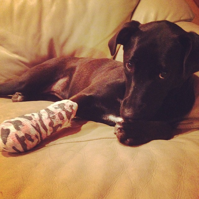 I gots a boo boo