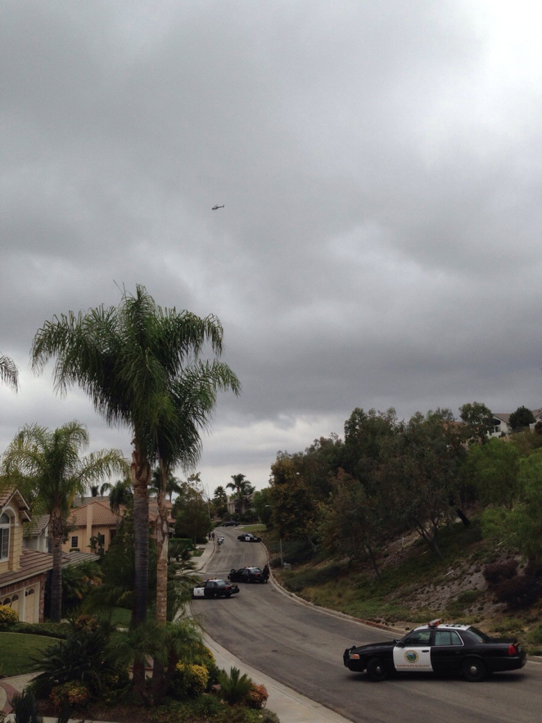 Real life GTA
