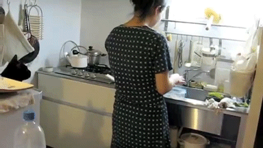 Katthopp