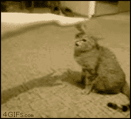 Fuck you