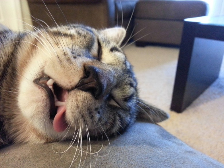 Sover Tungt