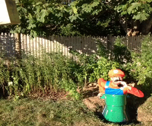 Packad mario