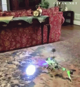 Hund VS helikopter