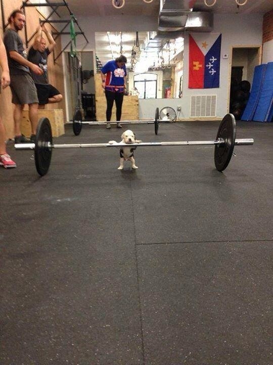I can do this