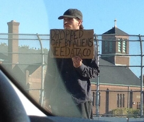 Need a taco