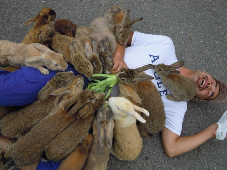 Bunny overkill