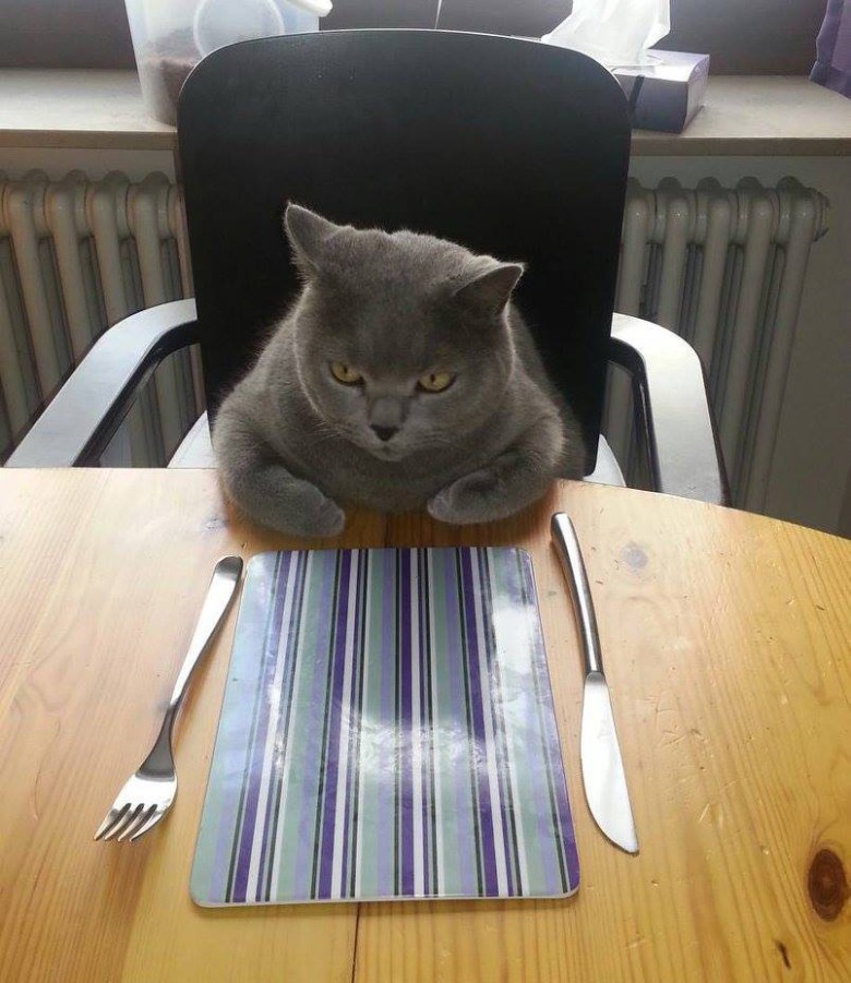 Vart är min mat