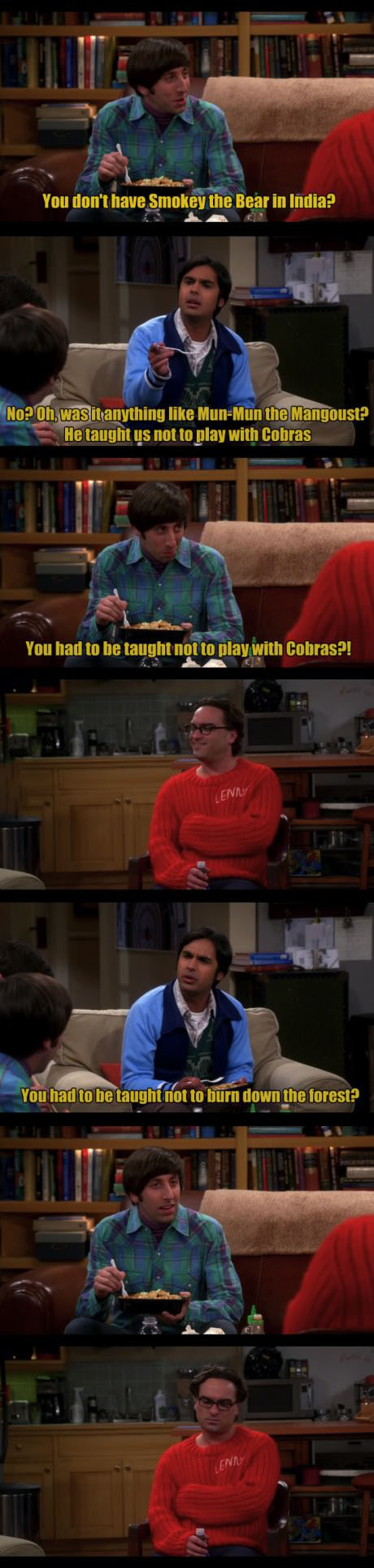 The Big Bang Theory
