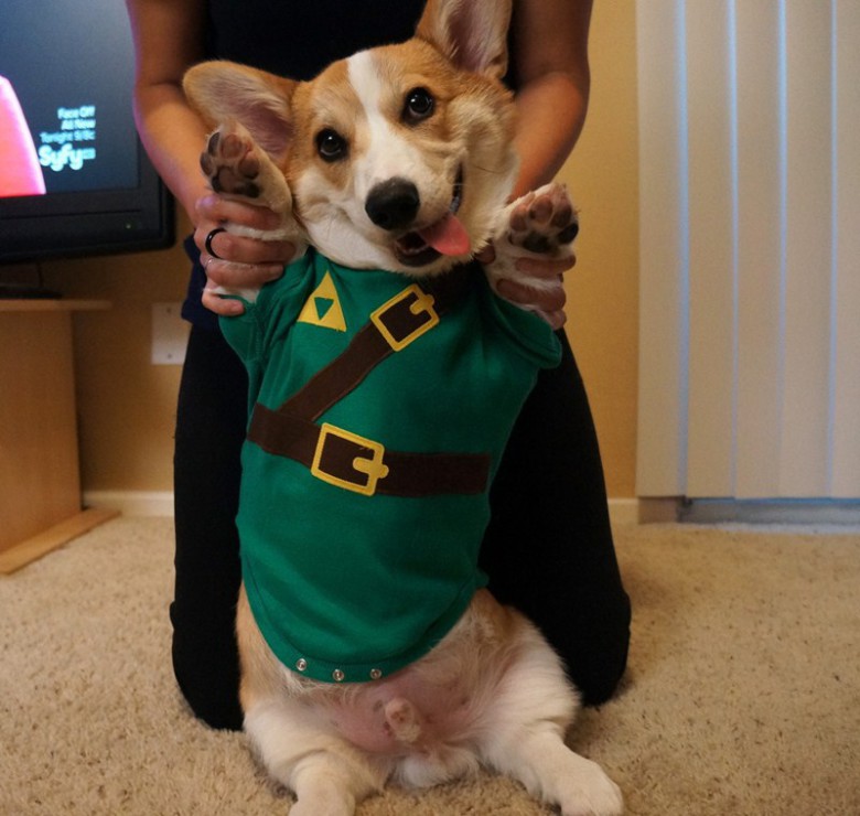 Link