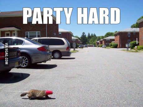 Party Hard!