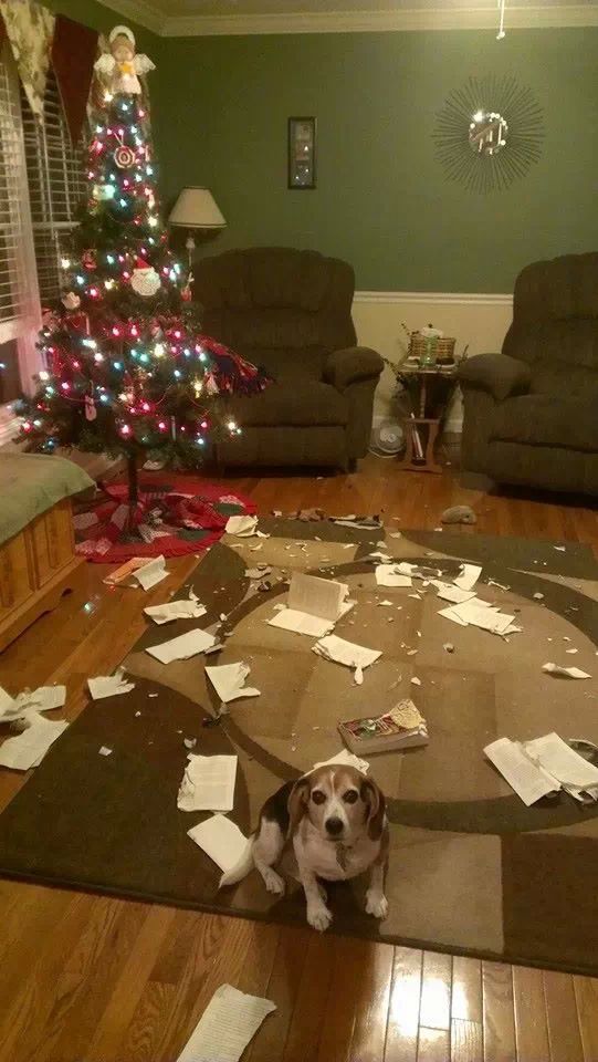 I uhm.. Merry Christmas