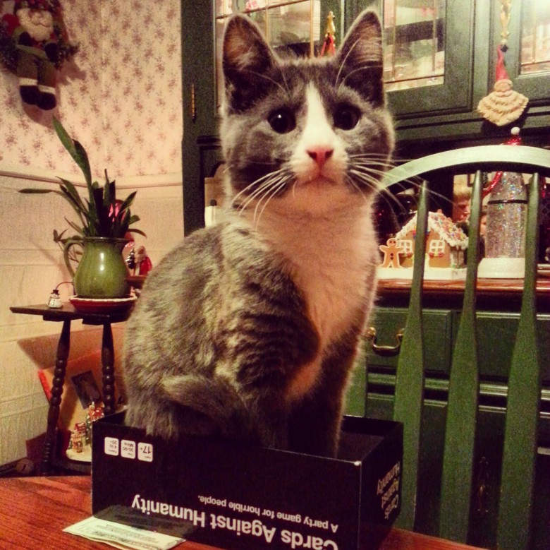 If i fits i sits