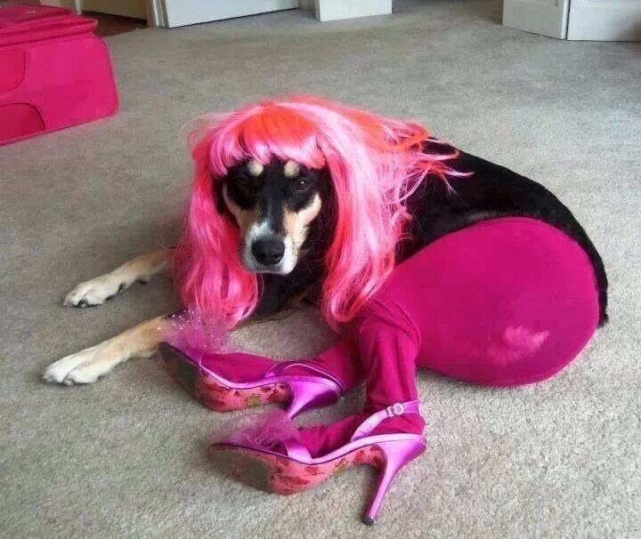 När du lämnar hunden med barnen