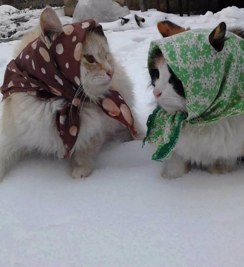 In soviet russia