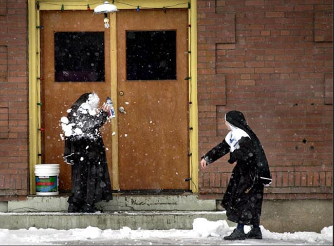 Alla gillar snöbollar