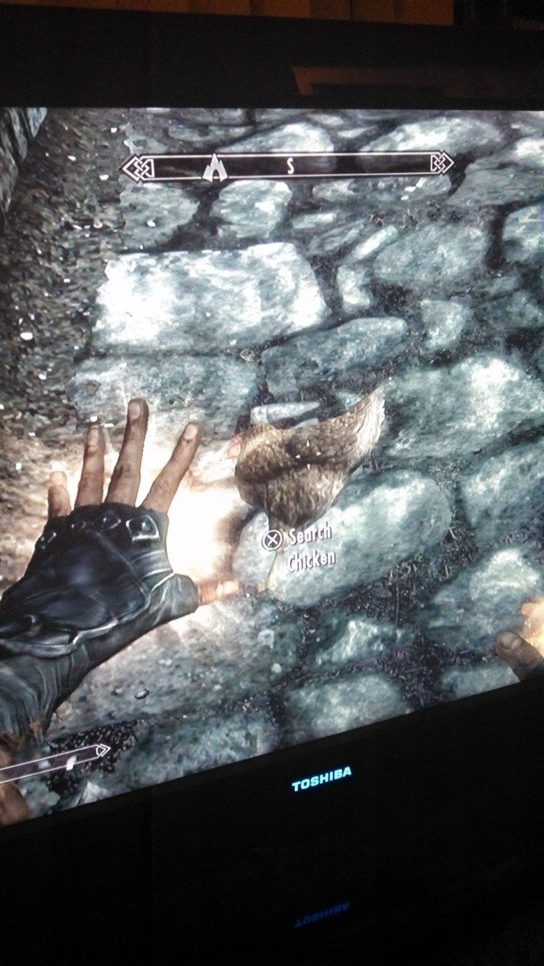 Chicken arise