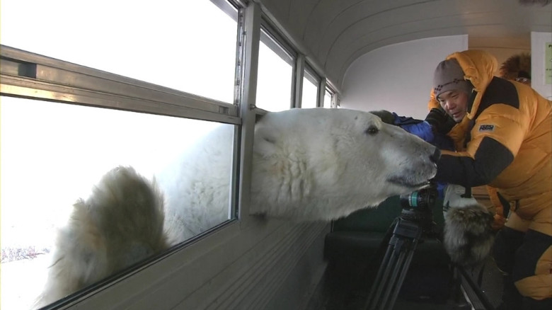 Whatcha doing