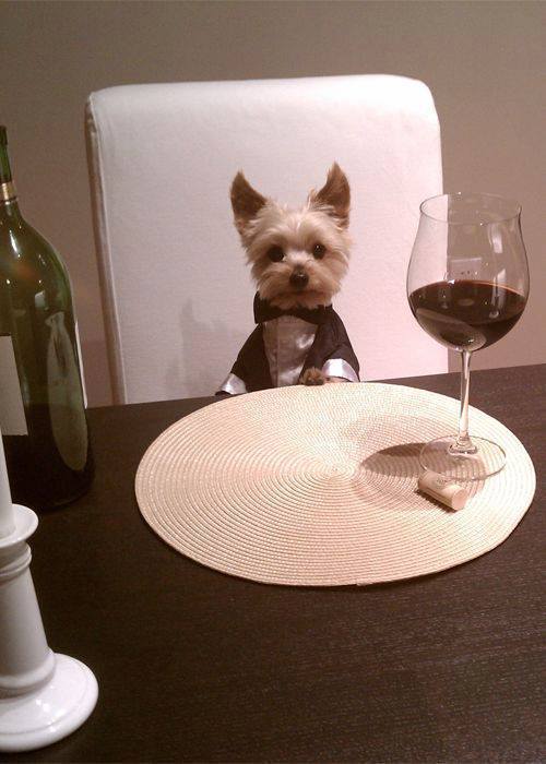 Classy
