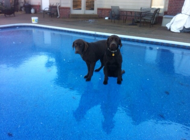 No swimming today