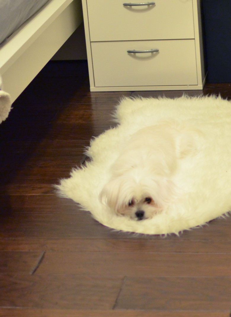 I'm melting