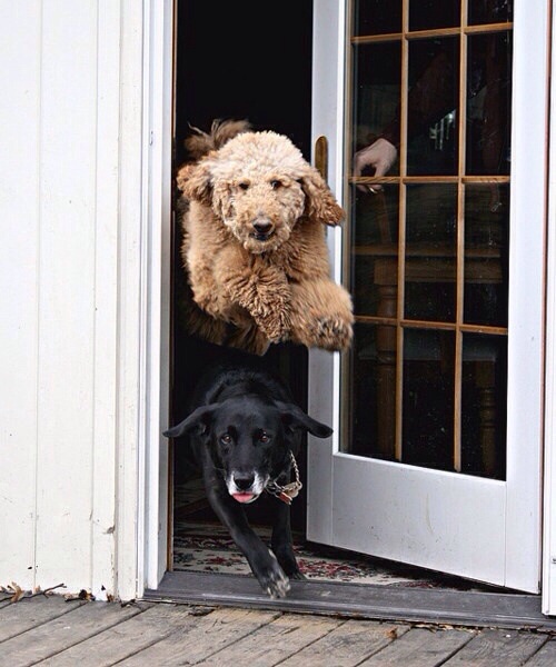 The race is on