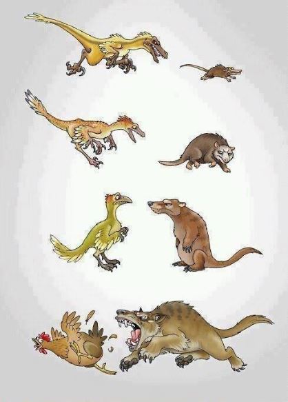 Evolution is a bitch