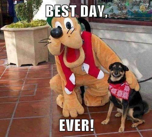 Hundhumor