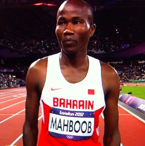 Mahbob