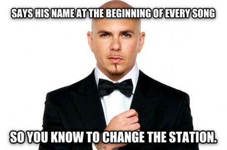 Good guy Pitbull