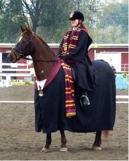 Gryffindor häst