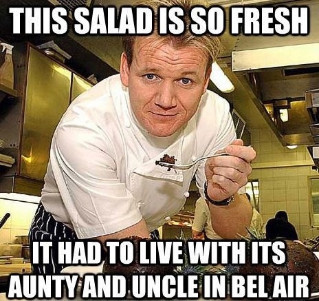 Gordon Ramsey humor