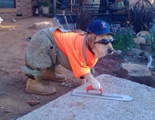 Hundhumor