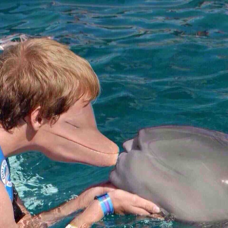 Faceswap