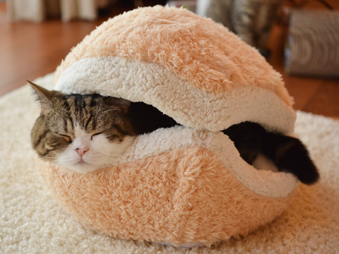 Cat Burger
