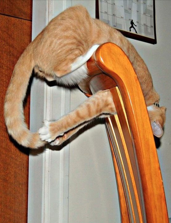 Intressant position